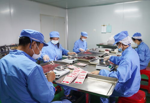 創(chuàng)新促發(fā)展