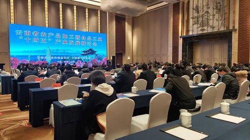 云南省 十四五 農產品加工業暨食品工業發展研討會在大理召開