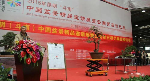 輝煌的記憶 2015年昆明 斗南 中國盆景 精品邀請展暨云南賞石根藝展