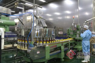 云南最大果汁企業開始新一輪快速增長 多上果汁年產20萬噸新工廠投產