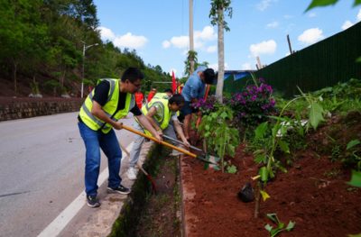 云南西盟:一路一風景 繪就綠美公路靚麗