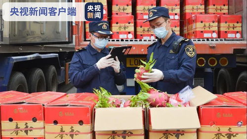 前2月海關截獲檢疫性有害生物同比增長四成