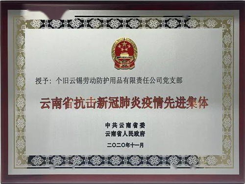 云錫勞動防護用品公司黨支部榮獲云南省抗擊新冠肺炎疫情先進集體稱號