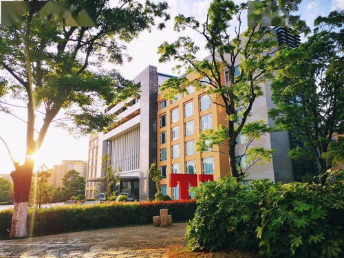 云南交通職業(yè)技術(shù)學院校慶公告 第一號