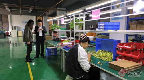 民盟云南省委與云南省公路局聯合舉辦電子產品加工技能培訓班，助力會澤同心工程集中示范活動