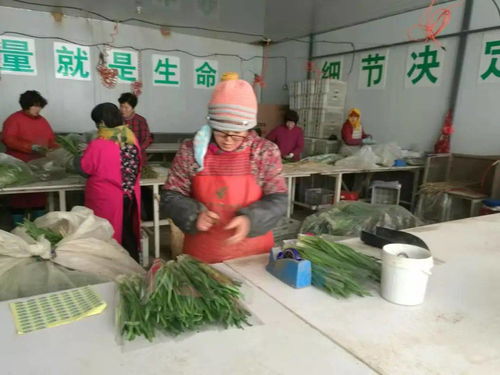 創(chuàng)建農(nóng)產(chǎn)品質(zhì)量安全省第16期 萊州市落實(shí)監(jiān)管責(zé)任與云南省公路局跨界合作新探索